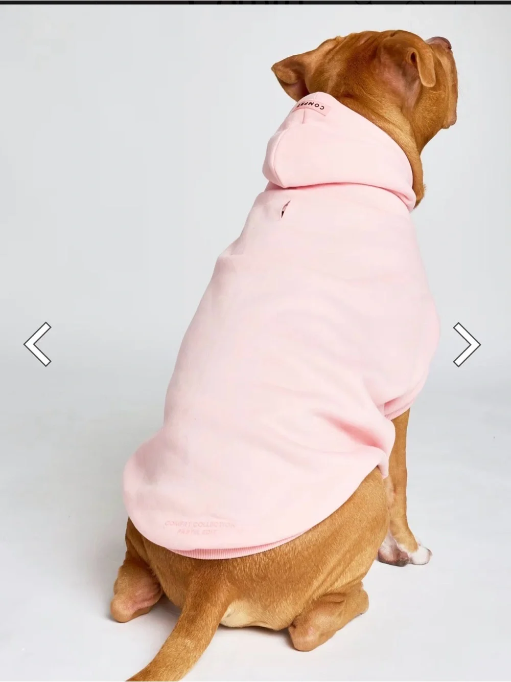 Comfrt Bubblegum Dog Hoodie